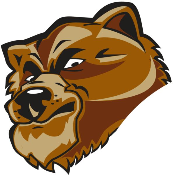 BEAR HD0504 RQC Thumbnail